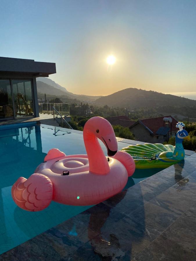 Летний дом Chardonnay Guest With Great View For Nature Lovers Кирения